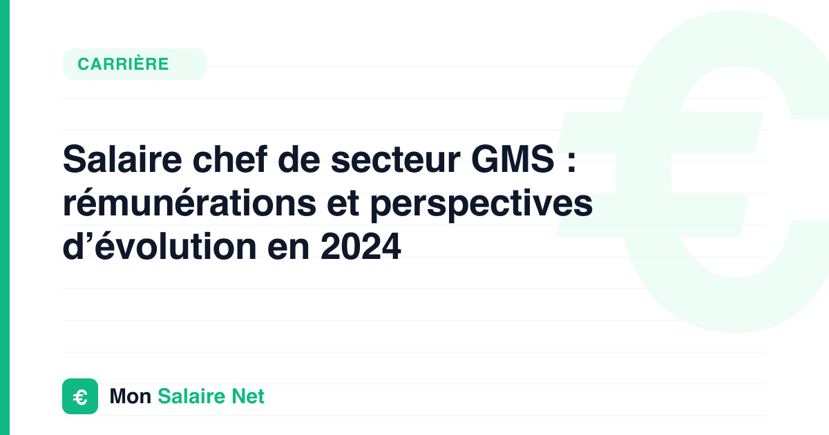 Salaire chef de secteur GMS : rémunérations et perspectives d’évolution en 2024